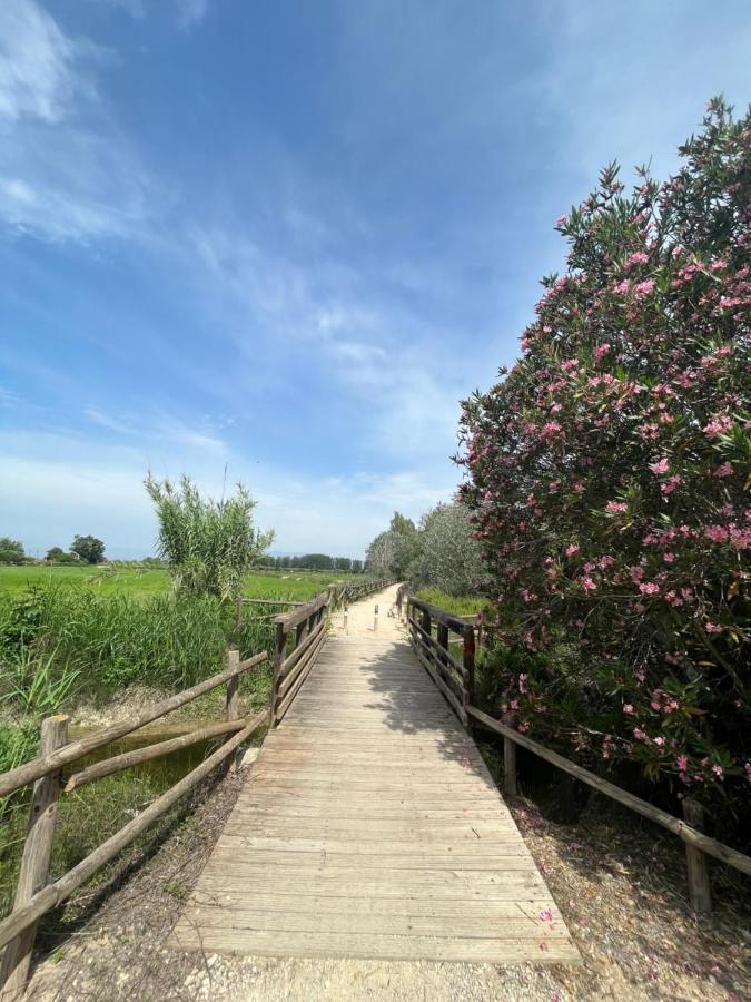 El Secreto Del Descanso Del Ebro 圣海梅-德恩韦哈 外观 照片